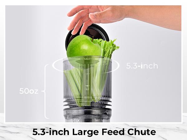 Cold Press Juicer, 5.3 Inch Large Feed Opening, Slow Masticator Chute, For Whole Vegetables and Fruits, High Yield, Easy to Clean Springtok Steel