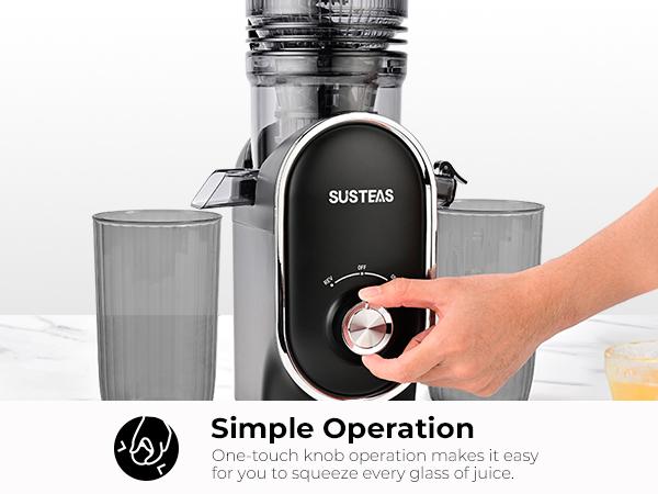Cold Press Juicer, 5.3 Inch Large Feed Opening, Slow Masticator Chute, For Whole Vegetables and Fruits, High Yield, Easy to Clean Springtok Steel