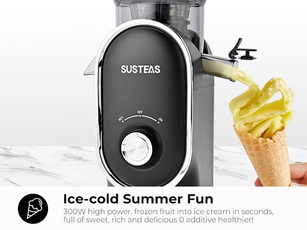 Cold Press Juicer, 5.3 Inch Large Feed Opening, Slow Masticator Chute, For Whole Vegetables and Fruits, High Yield, Easy to Clean Springtok Steel